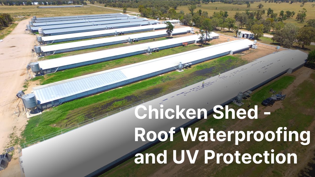Chicken Shed Waterproofing with Liquid Rubber Sealant and UV protective