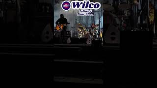 WILCO - "I AM TRYING TO BREAK YOUR HEART" #shorts #music #liveconcert