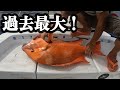 【奄美大島】信じられない！こんなサイズの魚が本当に釣れた！センネンダイ！【ジギング】