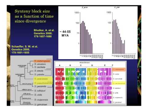 Dennis Venema - Human Genomics: Vestiges of Eden o...