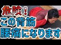 【腰痛が無くなる背筋】背筋（脊柱起立筋）の安全な筋トレ方法教えます　筋肉総動員理論による極みのインナーマッスルトレーニング