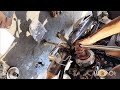 hero splendor bike me clutch plate lgana sikhe🛠️🔧/splendor bike servicing#trending#splendor#mechanic