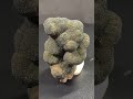 Goethite cristallisée Montroc Tarn81 #minerals #stone #jewellery #gems #mineraux #pierresnaturelles