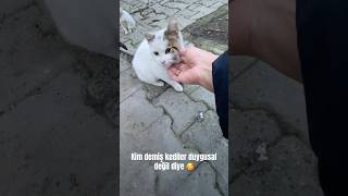 Şkı Şfet Şfetbeniöneçıkar