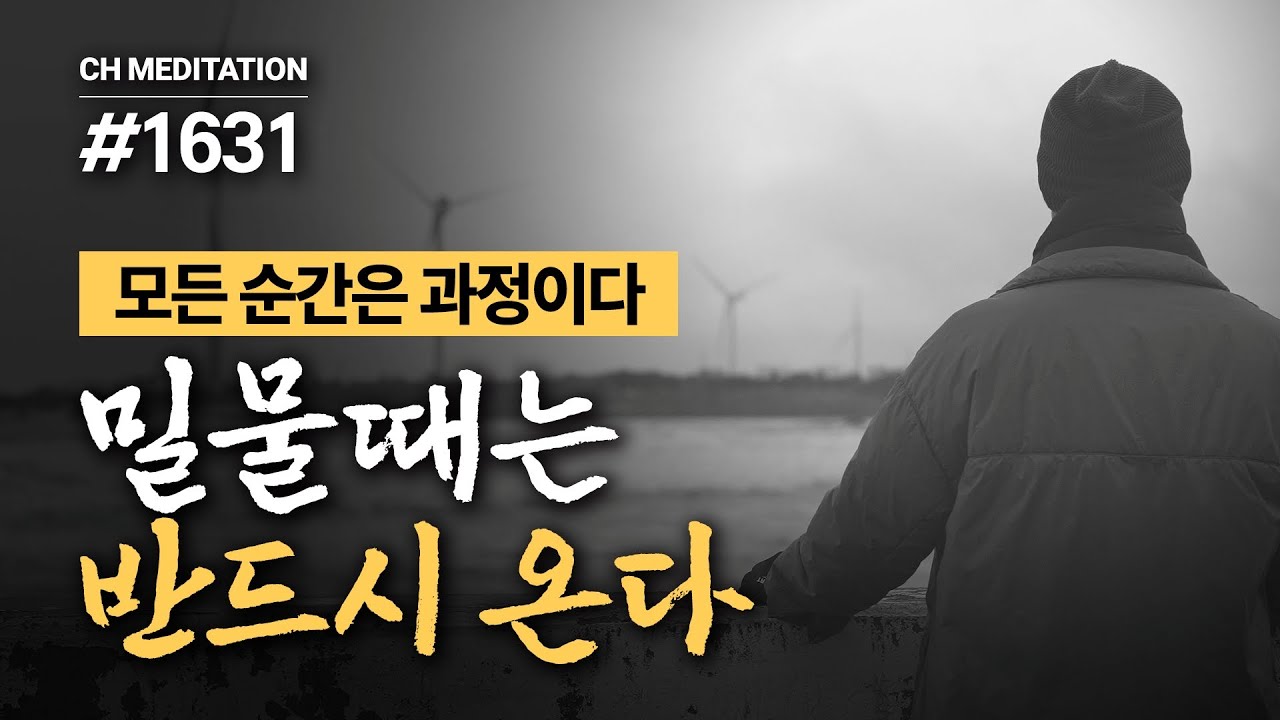 1631일 수행ㅣ애쓰지 말라, 인생은 버티는 게 아니다 ✔️모든 순간은 과정이다 ✔️밀물때는 반드시 온다 🧘‍♀️조망명상 ㅣ #마음공부 #명상 #인생철학