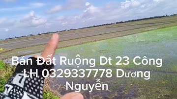 Nhà Đất Bán Đất Ruộng Dt 23 Công Giá 170tr Công/1000m2 Tân Thạnh Long An Cũ Tây Ninh Mới 