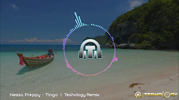 Nessa Preppy - Tingo  l  Teshology Remix