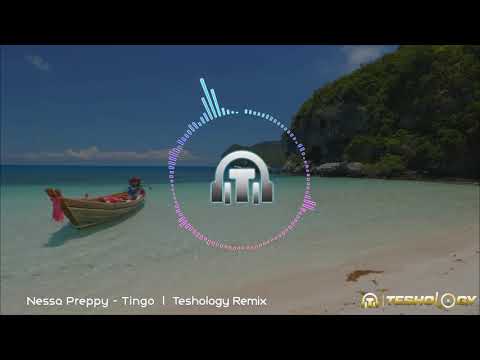 Nessa Preppy - Tingo  l  Teshology Remix