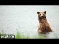 Youtube Thumbnail River Watch - Katmai National Park, Alaska powered by EXPLORE.org