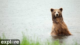 River Watch – Katmai National Park, Alaska powered by EXPLORE.org