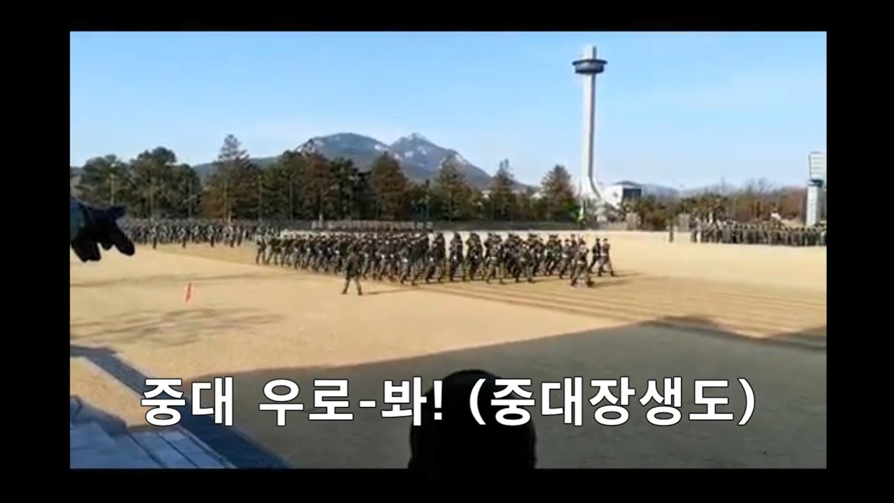 [영상] 육해군 사관학교 분열 연습│국군 분열행진의 노하우 해부