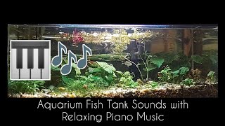 Aquatic Serenity ☀️ | OVER AN HOUR of Aquarium Fish Tank Sounds with Relaxing Piano Music 🎹🎶