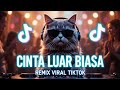 Zidan Cinta Luar Biasa Remix Version Cover Remix Viral TikTok