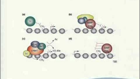 L11-2 ChIP-seq III - NGS lecture series 2011
