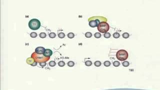 L11-2 ChIP-seq III - NGS lecture series 2011