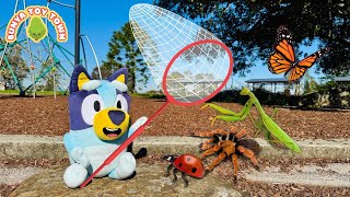 Bluey Catches Bugs at the Playground | Pretend Play with Bluey Toys