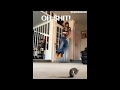 OH SHIT A RAT