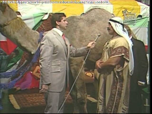 Iron Sheik's Camel 