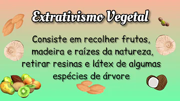 O que é extrativismo de exemplo?