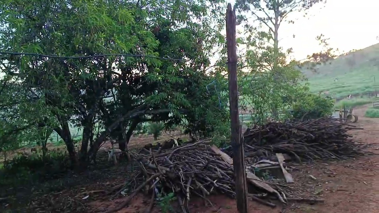 Vida na roça é trabalho, fé, dedicação, suor, cultivo e falta colheita na paz e amor de Deu!s!