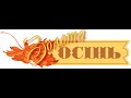 З концерту "Осіннє Золото" до Дня пам'яті Дмитра Луценка в с. Березова Рудка