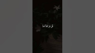 #سورة الإخلاص الشيخ سعد الغامدي #الشيخ #قرآن #تلاوة خاشعة #سعد_الغامدي