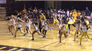 TVHS Vitality Dance Team