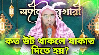 কত উট থাকলে যাকাত দিতে হয় || motiur rahman madani new waz || bangla islamic video