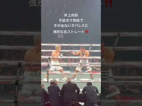 井上尚弥 手詰まり気味で手が出ないタパレスに強烈な右ストレート‼️