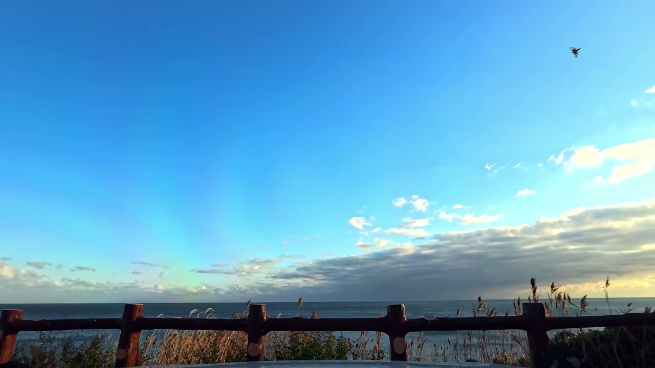 JEJU DRIVE 002 제주도 드라이브