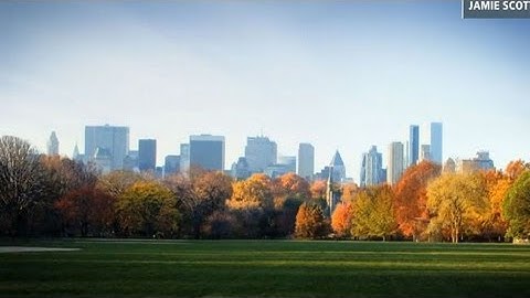 Fall Colors Sneak Peak: NYC