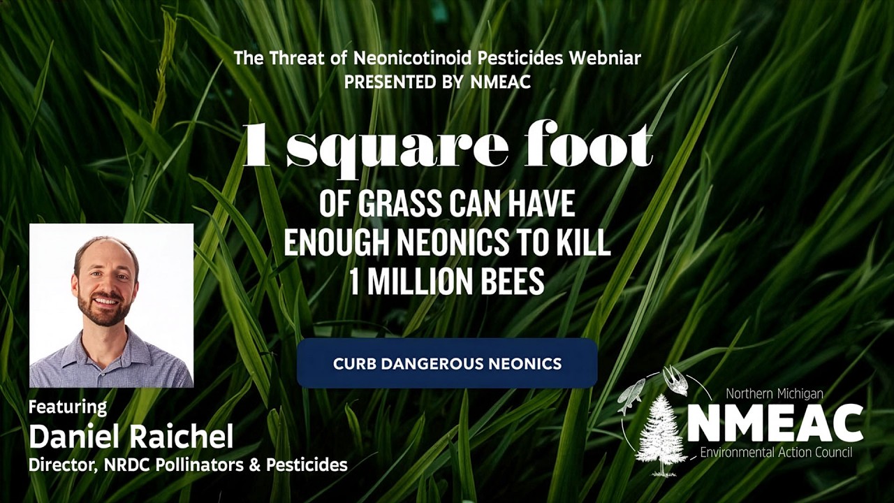 One Square Foot: The Threat of Neonicotinoid Pesticides Webinar