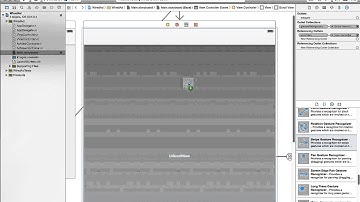 Local Website Inside Native IOS App
