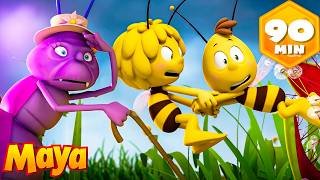 Le Voyage Difficile de Maya et du coléoptère Perdu 🐝 Maya l’Abeille | Dessin animé pour enfants