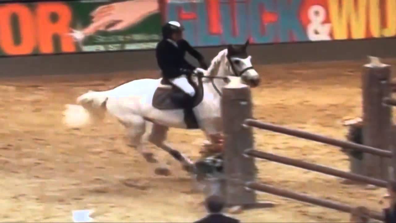 Cold as Ice Z ( Carthago Z x Ramiro Z x Agram ) international Grand Prix mare, Wien Derby 2009