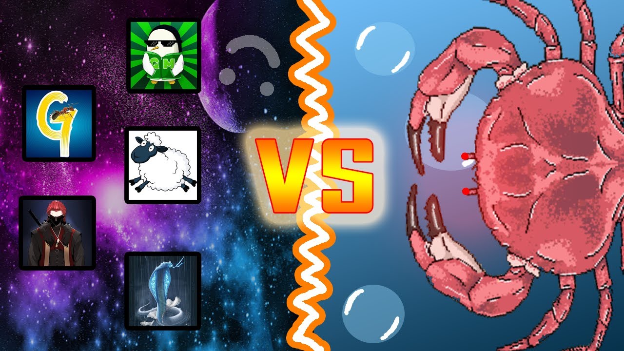 Pocket ants YOUTUBERS CRAB COOP! YouTube