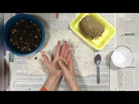Vídeo: Fazendo bolas de sementes com crianças: como fazer bolas de sementes de flores