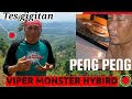 Kronologi Gigitan Viper Monster nya Panji Petualang