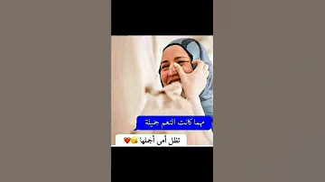 أمي ثم أمي 