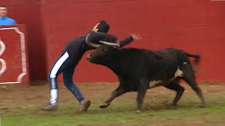 CAPEA con DOS VACAS en la finca LÓPEZ BAYO 2019