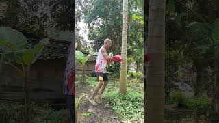 sarung tinju boxing gloves