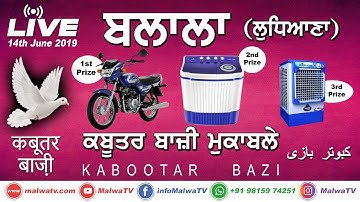 BALALA (Ludhiana) ਕਬੂਤਰ ਬਾਜੀ / KABOOTAR BAZI [14-June-2019] 🔴 LIVE STREAMED VIDEO
