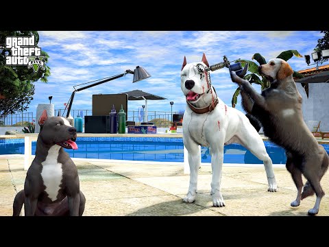 MİKE ABİ NE YAPTIN SEN!? BEYAZ PİTBULL MİKE DÖVME YAPTIRIYOR! - GTA 5