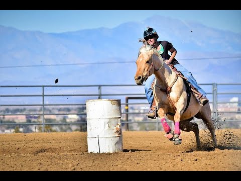Video: Las 5 mejores razas de caballos para carreras de barriles