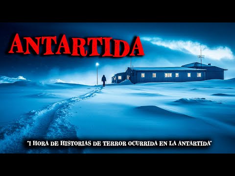 5 Historias de