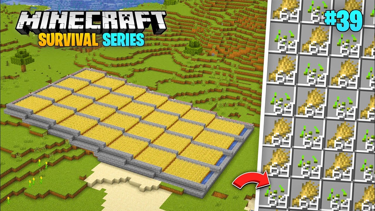 I Built Best Automatic Wheat Farm For Minecraft Pe 1.21 Survival Series (#39)