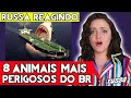 GRINGA RUSSA REAGINDO 8 Animais MAIS PERIGOSOS do Brasil dos Quais Você Deve FUGIR! 😫😱😨