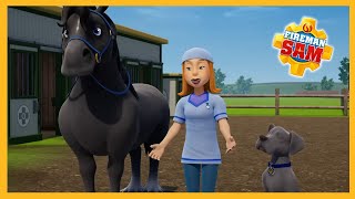 Fireman Sam Animal Special Horses, And Dogs