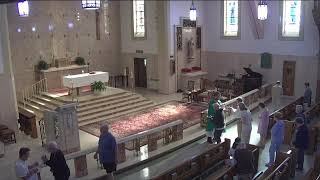 Wednesday 8:30 am Mass - July 8th, 2026