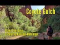 Backpacking Coyote Gulch | Grand Staircase - Escalante National Monument | Utah Backpacking